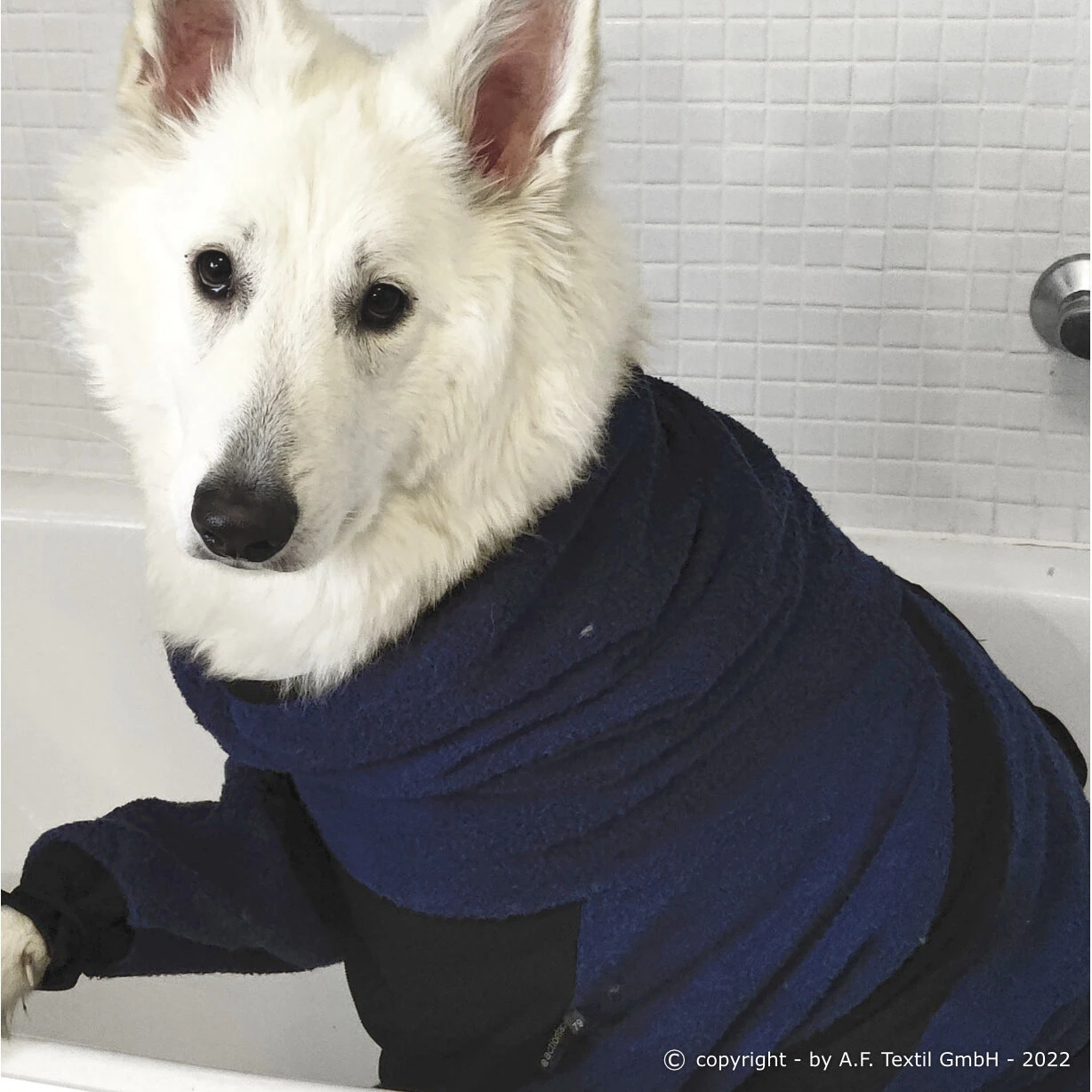 ActionFactory Dryup Body Zip.fit Hundebademantel Big 5 ActionFactory Dryup Body Zip.fit Hundebademantel Big – Bild 3