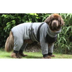 ActionFactory Dryup Body Zip.fit Hundebademantel Big 12 ActionFactory Dryup Body Zip.fit Hundebademantel Big -Hundefutter Welt Verkaufsgeschäft actionfactory dryup body zip fit hundebademantel big 1651734492