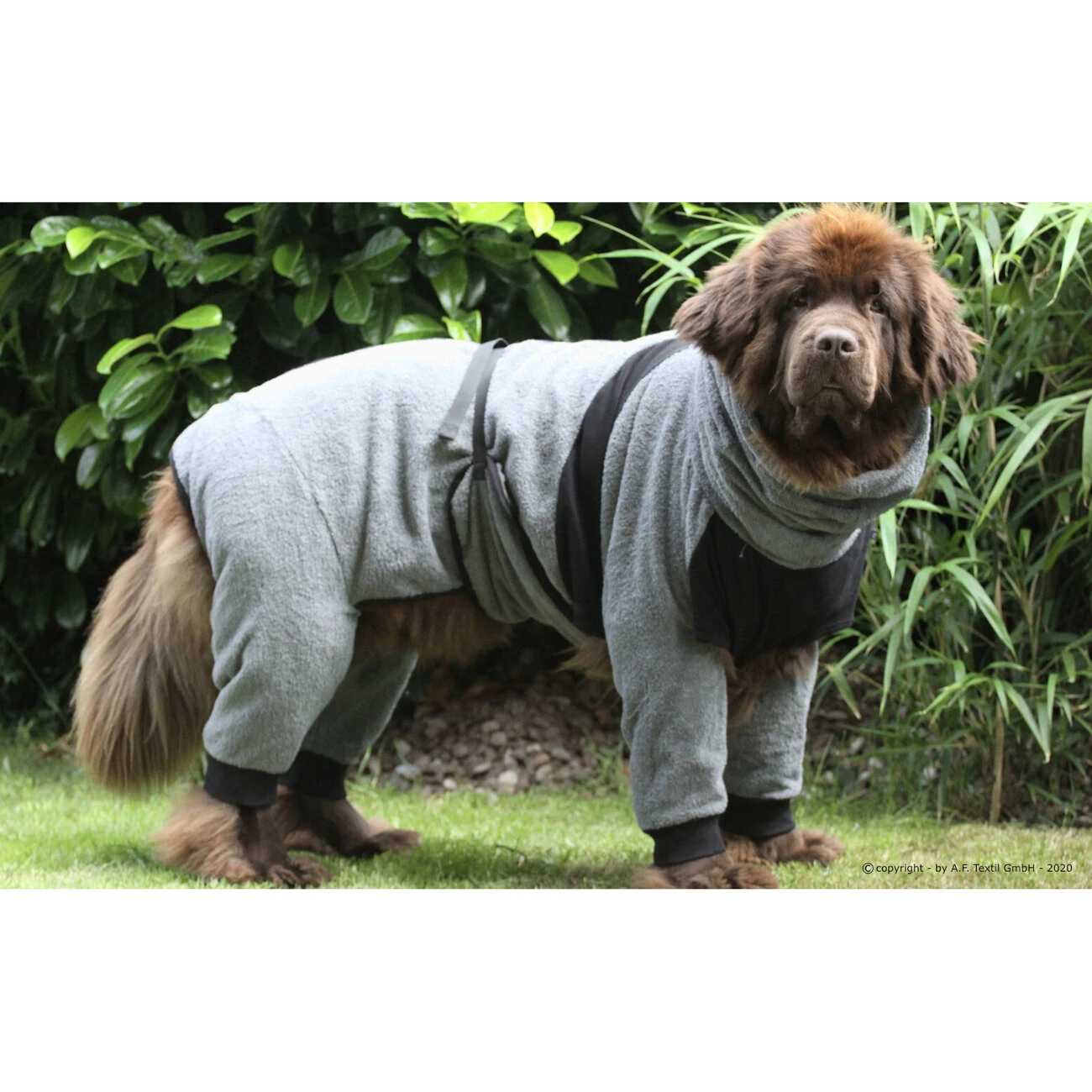 ActionFactory Dryup Body Zip.fit Hundebademantel Big 7 ActionFactory Dryup Body Zip.fit Hundebademantel Big – Bild 5