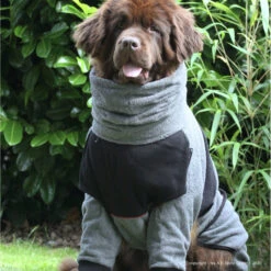 ActionFactory Dryup Body Zip.fit Hundebademantel Big