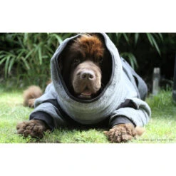 ActionFactory Dryup Body Zip.fit Hundebademantel Big 13 ActionFactory Dryup Body Zip.fit Hundebademantel Big -Hundefutter Welt Verkaufsgeschäft actionfactory dryup body zip fit hundebademantel big 1651734513