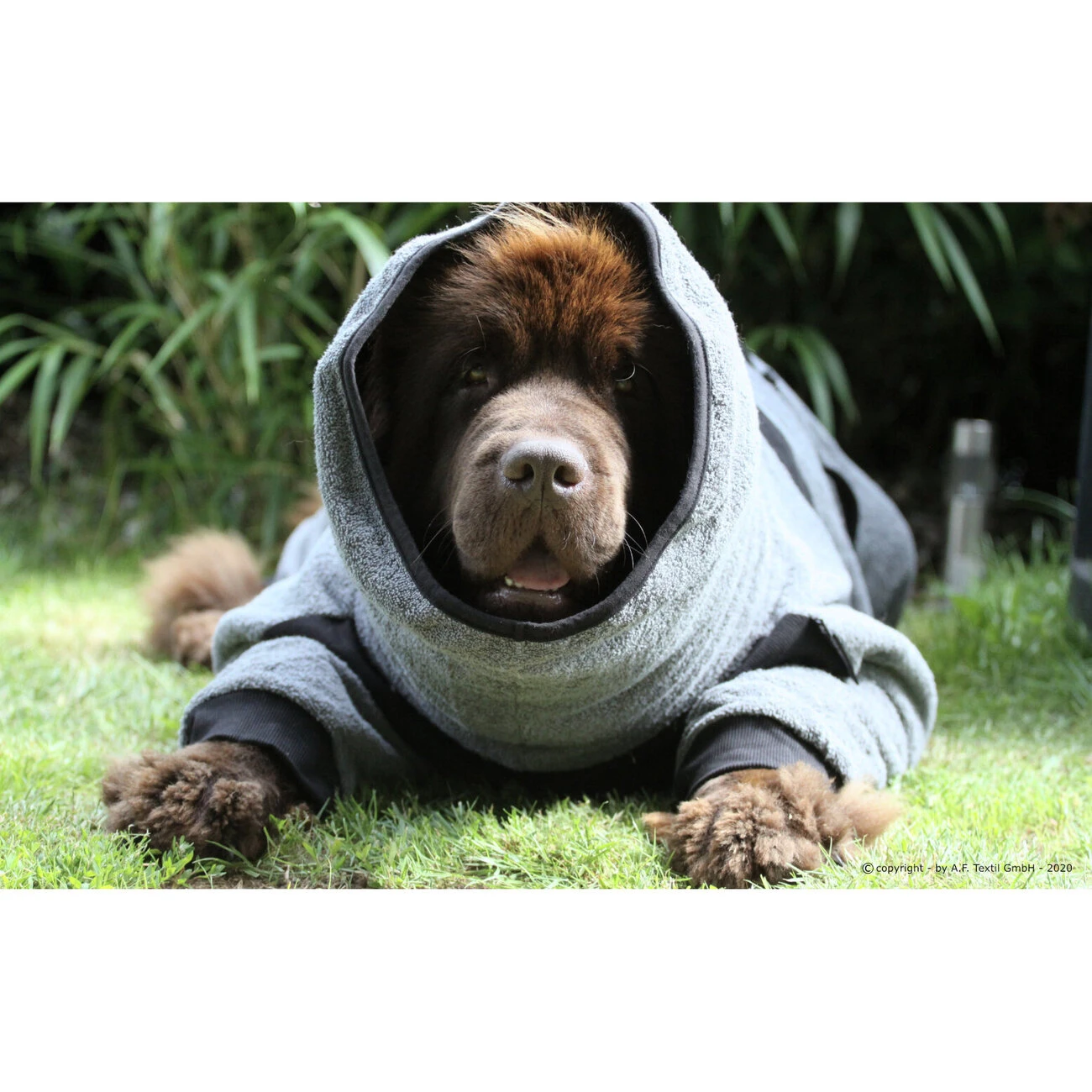 ActionFactory Dryup Body Zip.fit Hundebademantel Big 8 ActionFactory Dryup Body Zip.fit Hundebademantel Big – Bild 6