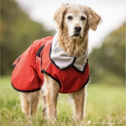 ActionFactory Fit4dogs Active Cape LIGHT Hundemantel