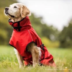 ActionFactory Fit4dogs Active Cape LIGHT Hundemantel -Hundefutter Welt Verkaufsgeschäft actionfactory fit4dogs active cape light hundemantel 1651827818