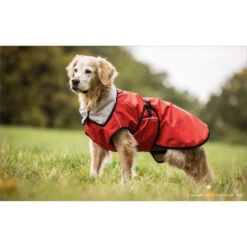 ActionFactory Fit4dogs Active Cape LIGHT Hundemantel -Hundefutter Welt Verkaufsgeschäft actionfactory fit4dogs active cape light hundemantel 1651827821