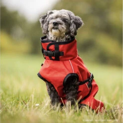 ActionFactory Fit4dogs Active Cape Light MINI Hundemantel -Hundefutter Welt Verkaufsgeschäft actionfactory fit4dogs active cape light mini hundemantel 1651827785