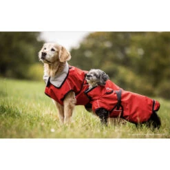 ActionFactory Fit4dogs Active Cape Light MINI Hundemantel -Hundefutter Welt Verkaufsgeschäft actionfactory fit4dogs active cape light mini hundemantel 1651827788