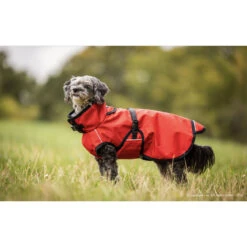 ActionFactory Fit4dogs Active Cape Light MINI Hundemantel -Hundefutter Welt Verkaufsgeschäft actionfactory fit4dogs active cape light mini hundemantel 1651827793