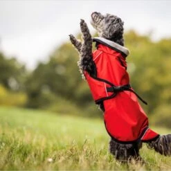 ActionFactory Fit4dogs Active Cape Light MINI Hundemantel -Hundefutter Welt Verkaufsgeschäft actionfactory fit4dogs active cape light mini hundemantel 1651827797