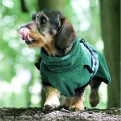 ActionFactory Fit4dogs DryUp Cape Trockenmantel Für Dackel