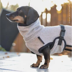 ActionFactory Fit4dogs DryUp Cape Trockenmantel Für Dackel -Hundefutter Welt Verkaufsgeschäft actionfactory fit4dogs dryup cape trockenmantel fuer dackel 1651828118