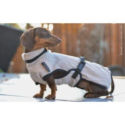 ActionFactory Fit4dogs DryUp Cape Trockenmantel Für Dackel -Hundefutter Welt Verkaufsgeschäft actionfactory fit4dogs dryup cape trockenmantel fuer dackel 1651828125