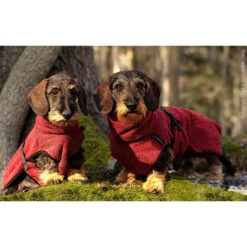 ActionFactory Fit4dogs DryUp Cape Trockenmantel Für Dackel -Hundefutter Welt Verkaufsgeschäft actionfactory fit4dogs dryup cape trockenmantel fuer dackel 1651828540