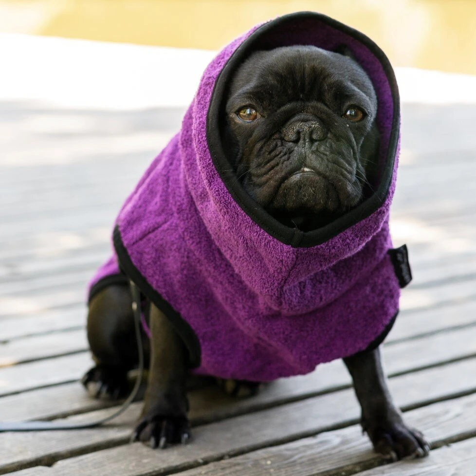 ActionFactory Fit4dogs DryUp Cape Trockenmantel Für Mops Und Co 8 ActionFactory Fit4dogs DryUp Cape Trockenmantel Für Mops Und Co – Bild 6