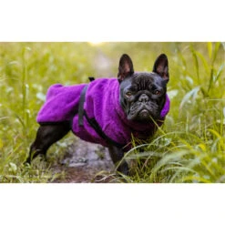 ActionFactory Fit4dogs DryUp Cape Trockenmantel Für Mops Und Co 17 ActionFactory Fit4dogs DryUp Cape Trockenmantel Für Mops Und Co -Hundefutter Welt Verkaufsgeschäft actionfactory fit4dogs dryup cape trockenmantel fuer mops und co 1651829038