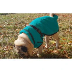 ActionFactory Fit4dogs DryUp Cape Trockenmantel Für Mops Und Co 18 ActionFactory Fit4dogs DryUp Cape Trockenmantel Für Mops Und Co -Hundefutter Welt Verkaufsgeschäft actionfactory fit4dogs dryup cape trockenmantel fuer mops und co 1651829437