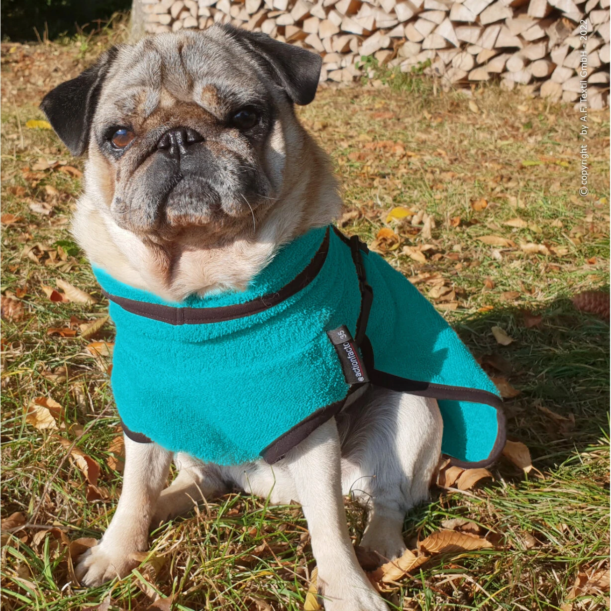 ActionFactory Fit4dogs DryUp Cape Trockenmantel Für Mops Und Co 4 ActionFactory Fit4dogs DryUp Cape Trockenmantel Für Mops Und Co – Bild 2