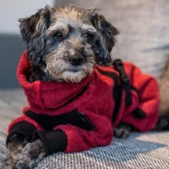 ActionFactory Fit4dogs Mini Dryup Body Zip.fit Hundemantel Trockenbody 36 ActionFactory Fit4dogs Mini Dryup Body Zip.fit Hundemantel Trockenbody -Hundefutter Welt Verkaufsgeschäft actionfactory fit4dogs mini dryup body zip fit hundemantel trockenbody 1599814491