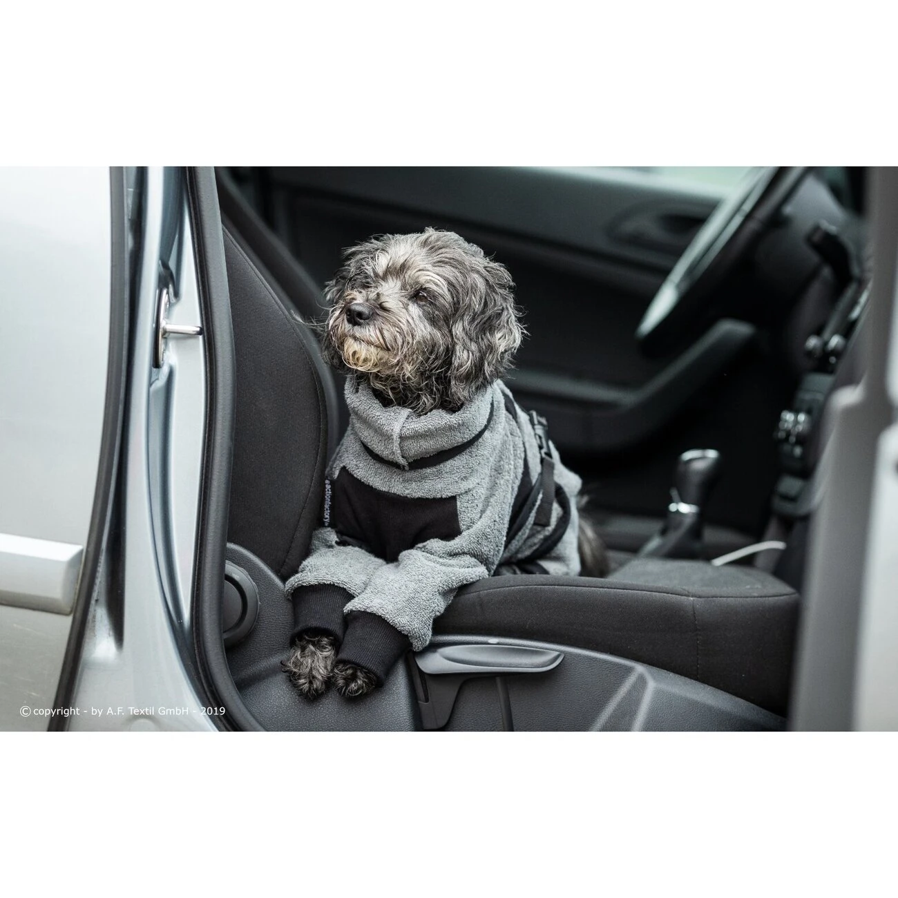 ActionFactory Fit4dogs Mini Dryup Body Zip.fit Hundemantel Trockenbody 12 ActionFactory Fit4dogs Mini Dryup Body Zip.fit Hundemantel Trockenbody – Bild 10