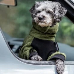 ActionFactory Fit4dogs Mini Dryup Body Zip.fit Hundemantel Trockenbody 35 ActionFactory Fit4dogs Mini Dryup Body Zip.fit Hundemantel Trockenbody -Hundefutter Welt Verkaufsgeschäft actionfactory fit4dogs mini dryup body zip fit hundemantel trockenbody 1651734969