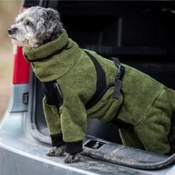 ActionFactory Fit4dogs Mini Dryup Body Zip.fit Hundemantel Trockenbody 34 ActionFactory Fit4dogs Mini Dryup Body Zip.fit Hundemantel Trockenbody -Hundefutter Welt Verkaufsgeschäft actionfactory fit4dogs mini dryup body zip fit hundemantel trockenbody 1651734972