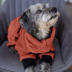 ActionFactory Fit4dogs Mini Dryup Body Zip.fit Hundemantel Trockenbody 38 ActionFactory Fit4dogs Mini Dryup Body Zip.fit Hundemantel Trockenbody -Hundefutter Welt Verkaufsgeschäft actionfactory fit4dogs mini dryup body zip fit hundemantel trockenbody 1665566578