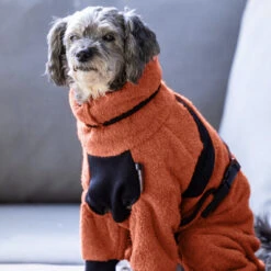 ActionFactory Fit4dogs Mini Dryup Body Zip.fit Hundemantel Trockenbody 39 ActionFactory Fit4dogs Mini Dryup Body Zip.fit Hundemantel Trockenbody -Hundefutter Welt Verkaufsgeschäft actionfactory fit4dogs mini dryup body zip fit hundemantel trockenbody 1665566598