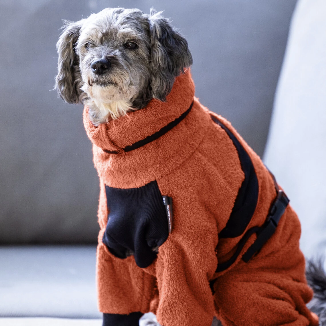 ActionFactory Fit4dogs Mini Dryup Body Zip.fit Hundemantel Trockenbody 21 ActionFactory Fit4dogs Mini Dryup Body Zip.fit Hundemantel Trockenbody – Bild 19