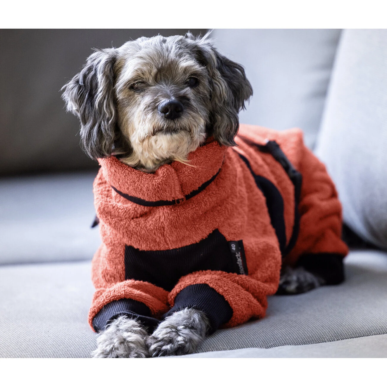 ActionFactory Fit4dogs Mini Dryup Body Zip.fit Hundemantel Trockenbody 19 ActionFactory Fit4dogs Mini Dryup Body Zip.fit Hundemantel Trockenbody – Bild 17