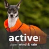 ActionFactory Hundejacke Active Cape Wind And Rain -Hundefutter Welt Verkaufsgeschäft actionfactory hundejacke active cape wind and rain 1667904798
