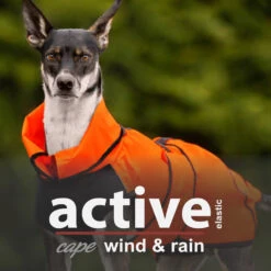 ActionFactory Hundejacke Active Cape Wind And Rain