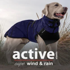 ActionFactory Hundejacke Active Cape Wind And Rain -Hundefutter Welt Verkaufsgeschäft actionfactory hundejacke active cape wind and rain 1667904800