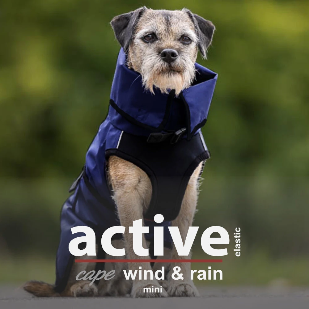 ActionFactory Hundejacke Active Cape Wind And Rain Mini 4 ActionFactory Hundejacke Active Cape Wind And Rain Mini – Bild 2