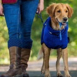 ActionFactory Trockenmantel Hund Fit4dogs Dryup Cape -Hundefutter Welt Verkaufsgeschäft actionfactory trockenmantel hund fit4dogs dryup cape 1651735928