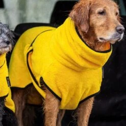 ActionFactory Trockenmantel Hund Fit4dogs Dryup Cape -Hundefutter Welt Verkaufsgeschäft actionfactory trockenmantel hund fit4dogs dryup cape 1651736088