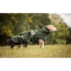 ActionFactory Warmover Fleece Cape -Hundefutter Welt Verkaufsgeschäft actionfactory warmover fleece cape 1642515898