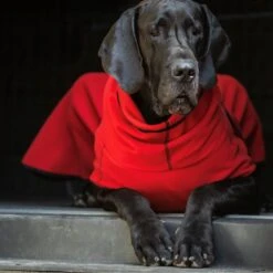 ActionFactory Warmover Fleece Cape Big -Hundefutter Welt Verkaufsgeschäft actionfactory warmover fleece cape big 1651740187