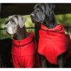 ActionFactory Warmover Fleece Cape Big -Hundefutter Welt Verkaufsgeschäft actionfactory warmover fleece cape big 1651740189