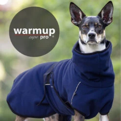 ActionFactory Warmup Cape Pro 15 ActionFactory Warmup Cape Pro -Hundefutter Welt Verkaufsgeschäft actionfactory warmup cape pro 1665574041