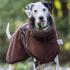 ActionFactory Warmup Cape Pro 18 ActionFactory Warmup Cape Pro -Hundefutter Welt Verkaufsgeschäft actionfactory warmup cape pro 1665574292