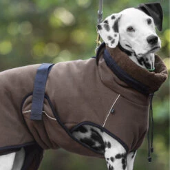 ActionFactory Warmup Cape Pro 19 ActionFactory Warmup Cape Pro -Hundefutter Welt Verkaufsgeschäft actionfactory warmup cape pro 1665574301