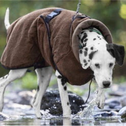 ActionFactory Warmup Cape Pro 20 ActionFactory Warmup Cape Pro -Hundefutter Welt Verkaufsgeschäft actionfactory warmup cape pro 1665574357