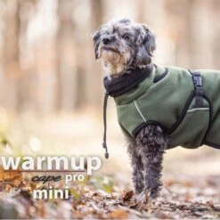 ActionFactory Warmup Cape Pro Mini -Hundefutter Welt Verkaufsgeschäft actionfactory warmup cape pro mini 1665986543