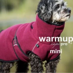 ActionFactory Warmup Cape Pro Mini -Hundefutter Welt Verkaufsgeschäft actionfactory warmup cape pro mini 1665986547