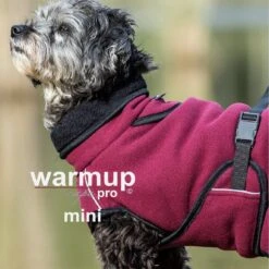 ActionFactory Warmup Cape Pro Mini -Hundefutter Welt Verkaufsgeschäft actionfactory warmup cape pro mini 1665986548