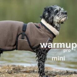 ActionFactory Warmup Cape Pro Mini -Hundefutter Welt Verkaufsgeschäft actionfactory warmup cape pro mini 1665986557
