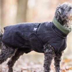 ActionFactory Warmup Cape Pro Mini -Hundefutter Welt Verkaufsgeschäft actionfactory warmup cape pro mini 1665986562