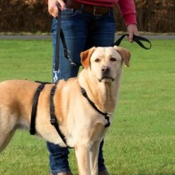 TRIXIE Panikgeschirr Stay Für Hunde