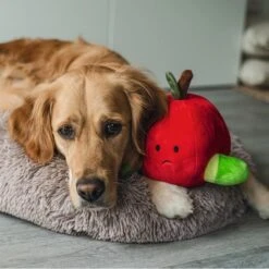 Beeztees Hide And Seek Apfel Hundespielzeug -Hundefutter Welt Verkaufsgeschäft beeztees hide and seek apfel hundespielzeug 1654783282