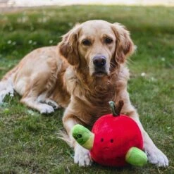 Beeztees Hide And Seek Apfel Hundespielzeug -Hundefutter Welt Verkaufsgeschäft beeztees hide and seek apfel hundespielzeug 1654783283